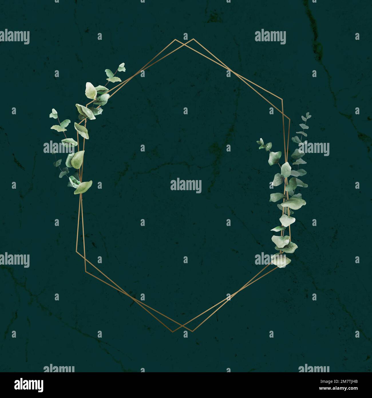 Handgezeichnetes Eukalyptusblatt mit sechseckiger Goldrahmung Stock Vektor
