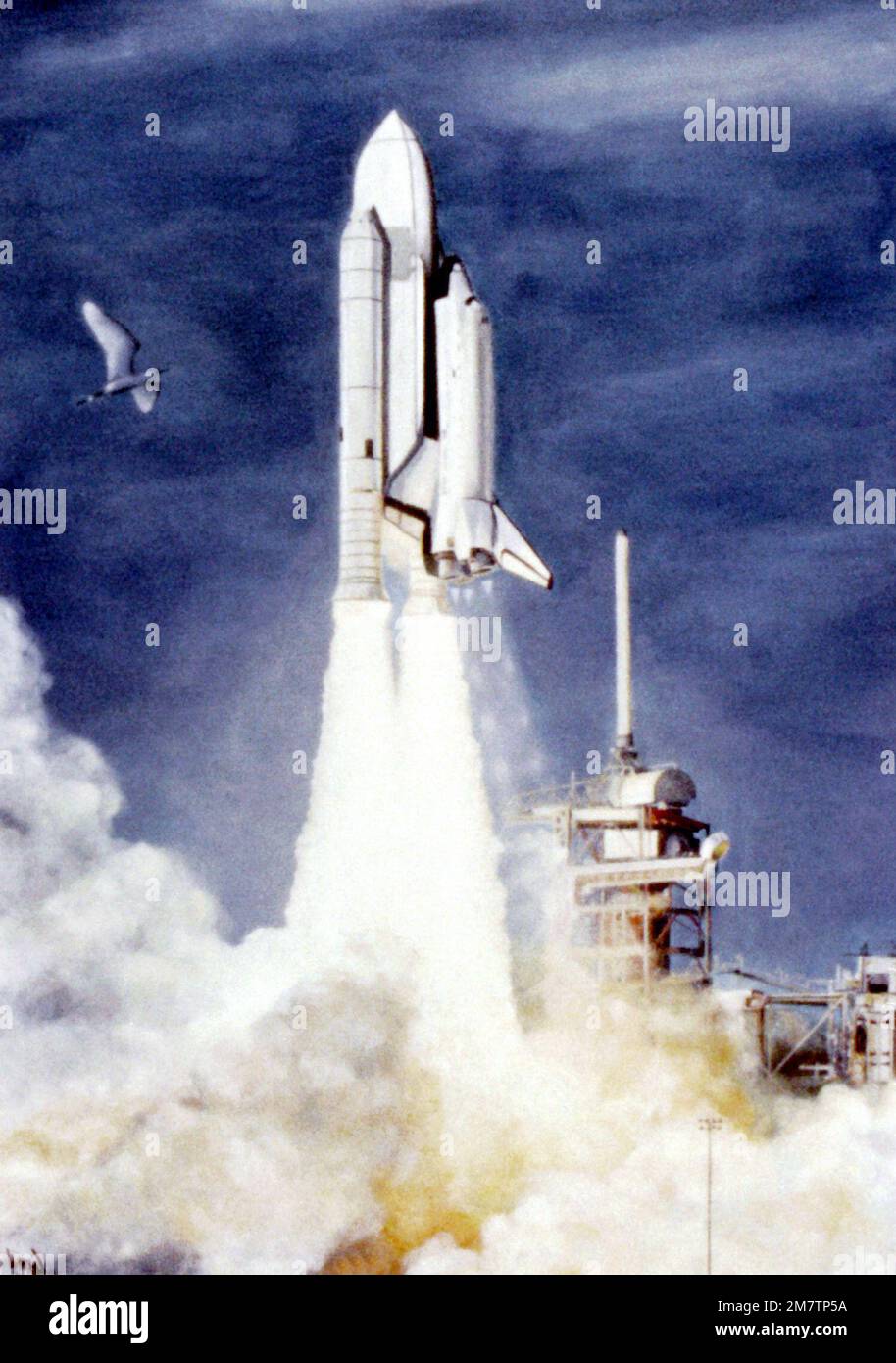 Kunst: "Space Shuttle" Künstler: Carmen Gibbs. Land: Unbekannt Stockfoto