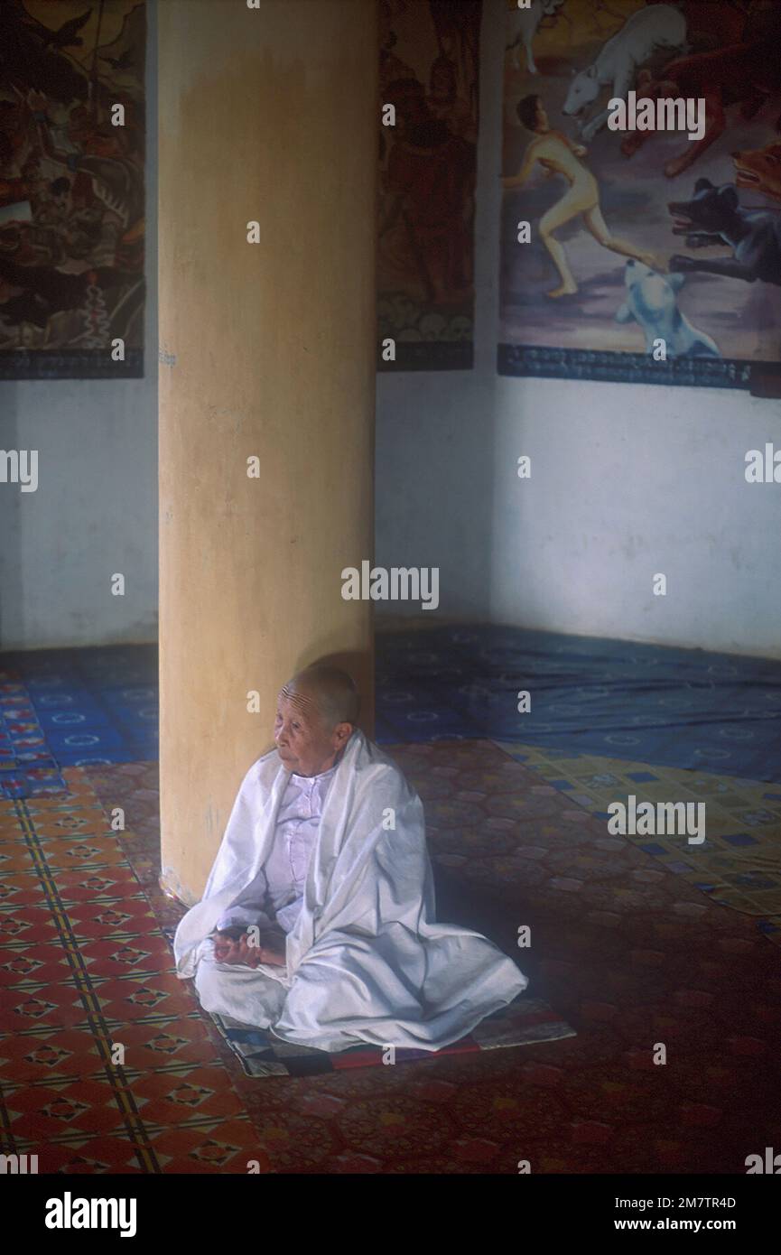 Nonne sitzt an der Säule im Zimmer mit Wandgemälden, Wat Paa Phon Phao, Luang Prabang, Laos Stockfoto