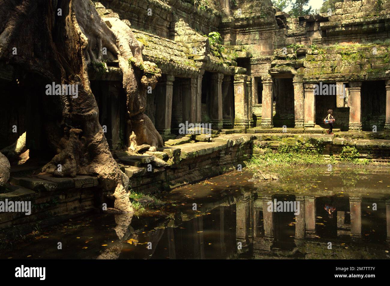 Eine Frau, die auf einem Fußweg zwischen einem uralten künstlichen Teich und den Ruinen des Preah Khan Tempels in Siem Reap, Kambodscha, spaziert. Teiche, Kanäle und Stauseen im Archäologischen Park von Angkor wurden gebaut, um eine alte Zivilisation des Khmer-Reiches zu unterstützen. Die größte und bevölkerungsreichste Stadt der Welt, in der bis zu 900.000 Menschen lebten, bis Kriege und Klimakatastrophen im 14. Und 15. Jahrhundert sie zur Aufgabe gezwungen hatten. Stockfoto
