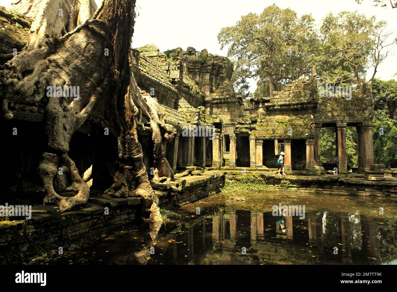 Eine Besucherin auf einem Fußweg zwischen einem alten künstlichen Teich und den Ruinen des Preah Khan Tempels in Siem Reap, Kambodscha. Teiche, Kanäle und Stauseen im Archäologischen Park von Angkor wurden gebaut, um eine alte Zivilisation des Khmer-Reiches zu unterstützen. Die größte und bevölkerungsreichste Stadt der Welt, in der bis zu 900.000 Menschen lebten, bis Kriege und Klimakatastrophen im 14. Und 15. Jahrhundert sie zur Aufgabe gezwungen hatten. Stockfoto