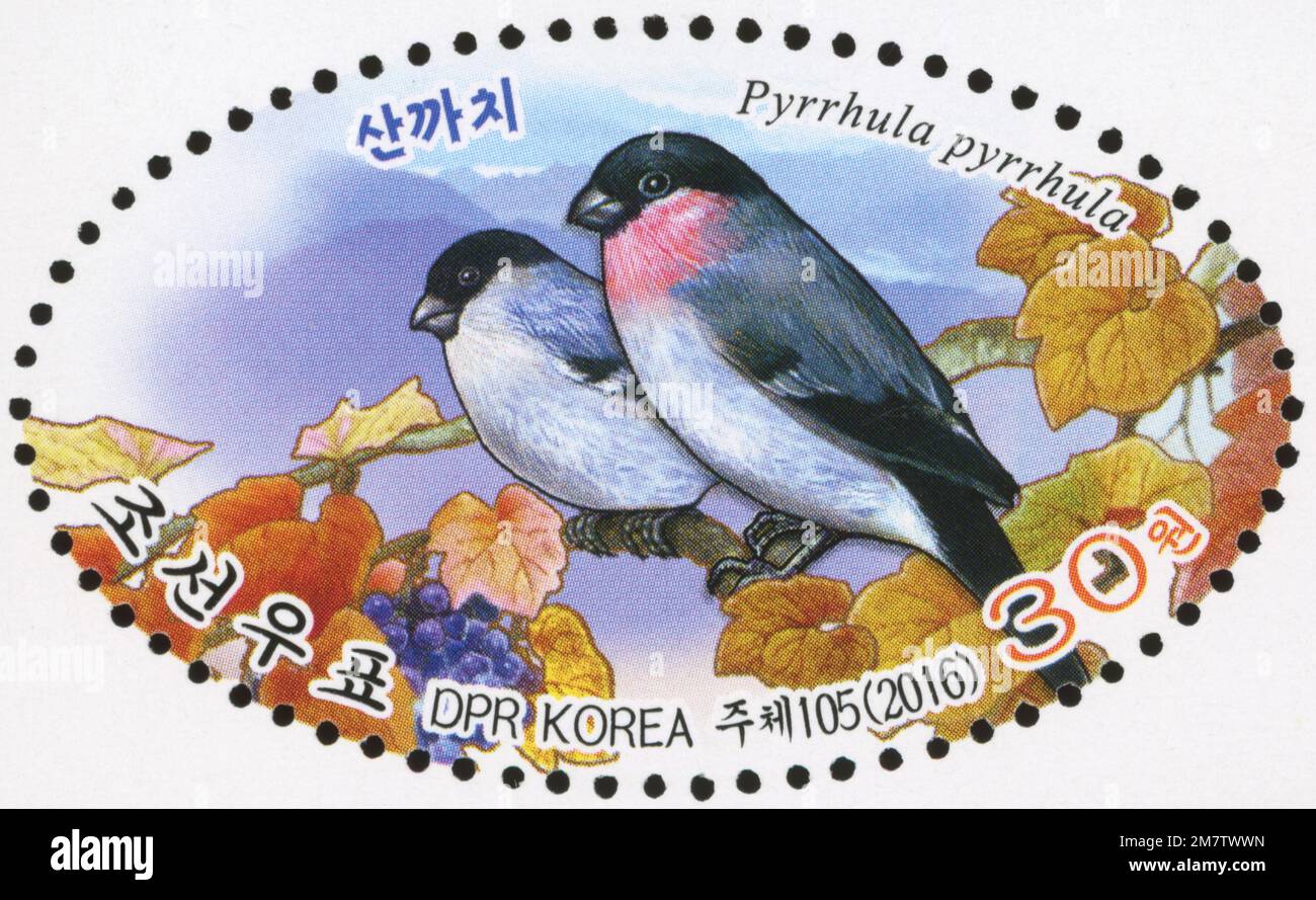 2016 Nordkorea ovaler Stempelsatz. Vögel. Eurasischer Bullfinch, Pyrrhula pyrrhula Stockfoto