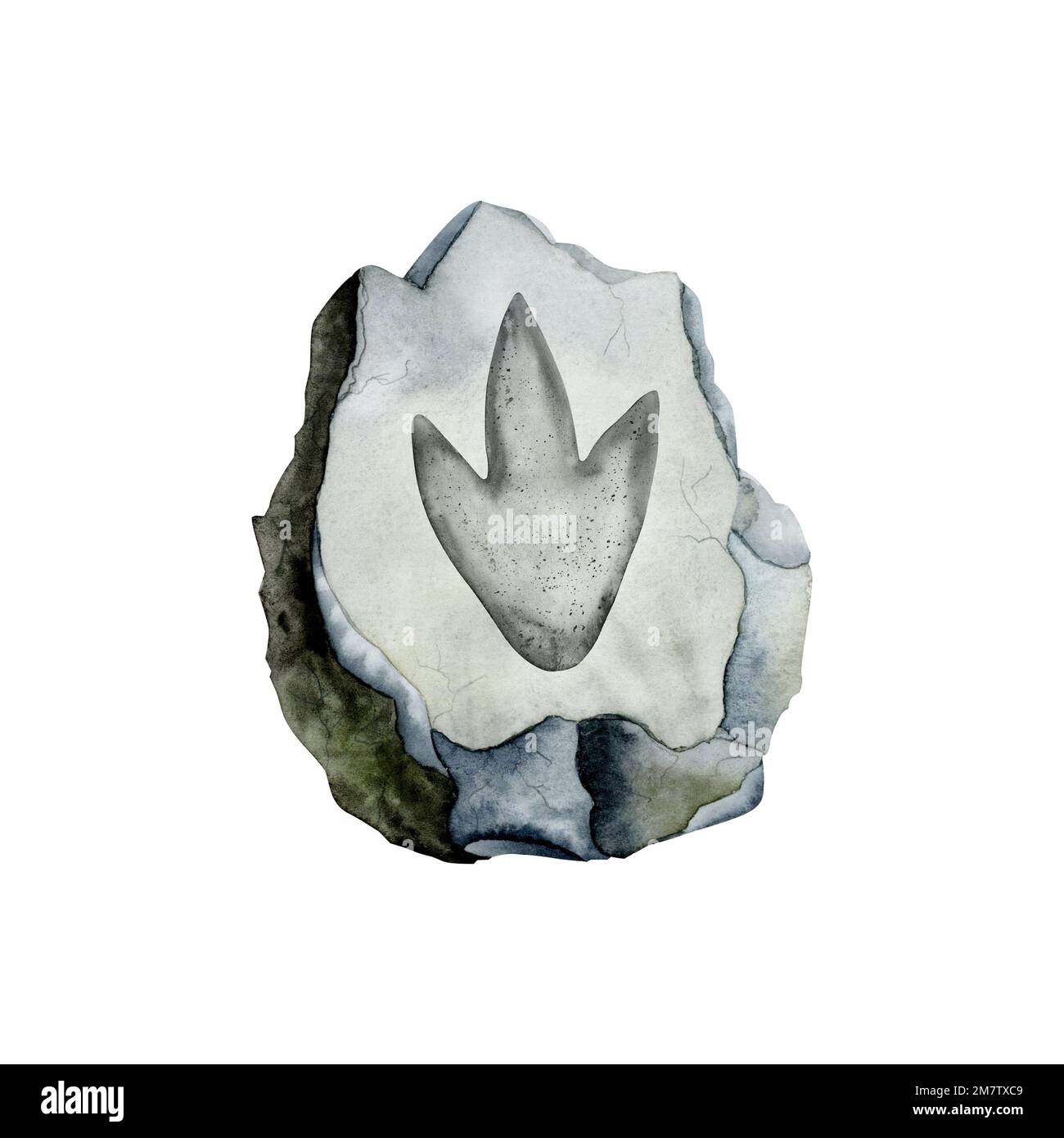 Dinosaurier-Fossil auf grauem Stein. Prädeator Paw in Stein. Realistische archäologische Aquarelldarstellung. Stockfoto Dinosaurier-Fossil auf grauem Stein. Prädeator Paw in Stein. Realistische archäologische Aquarelldarstellung. Stockfoto