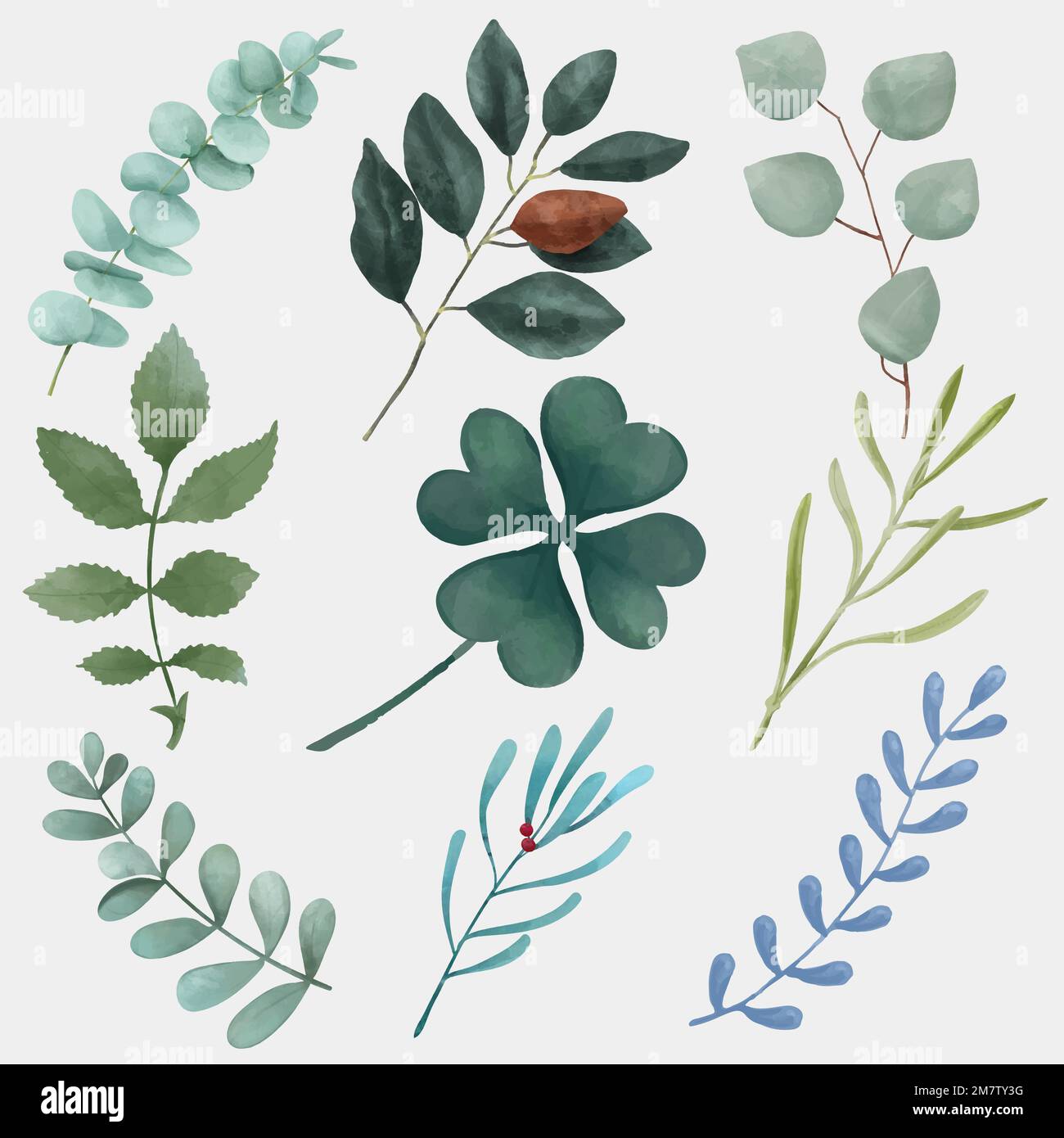 Grünes Blatt Vektor Hand gezeichnet Ausschnitt Satz Stock Vektor