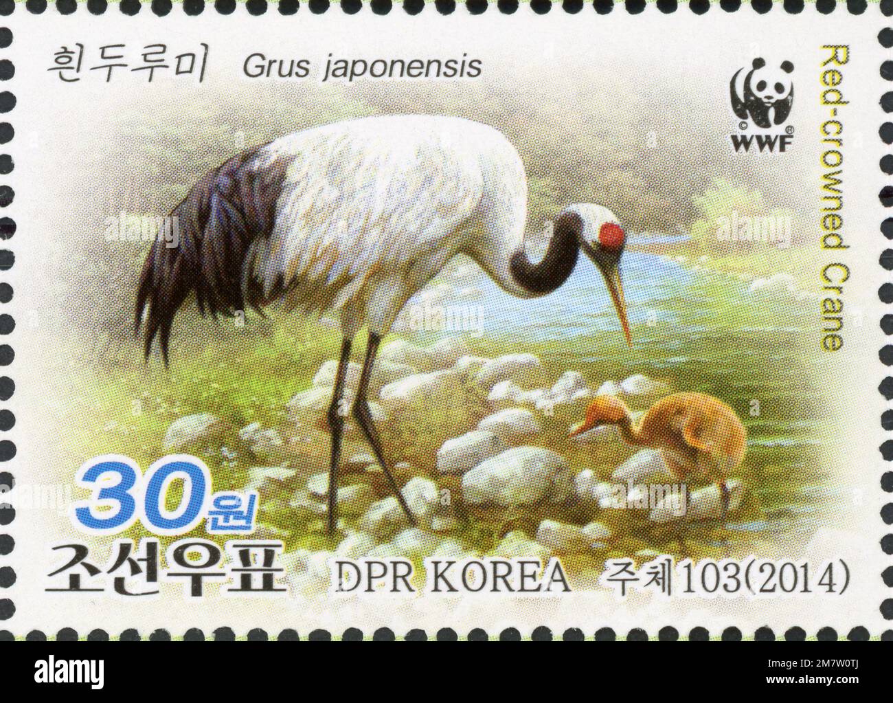 2014 Nordkorea Stempelsatz. WWF - Rotkranich, Grus japonensis Stockfoto