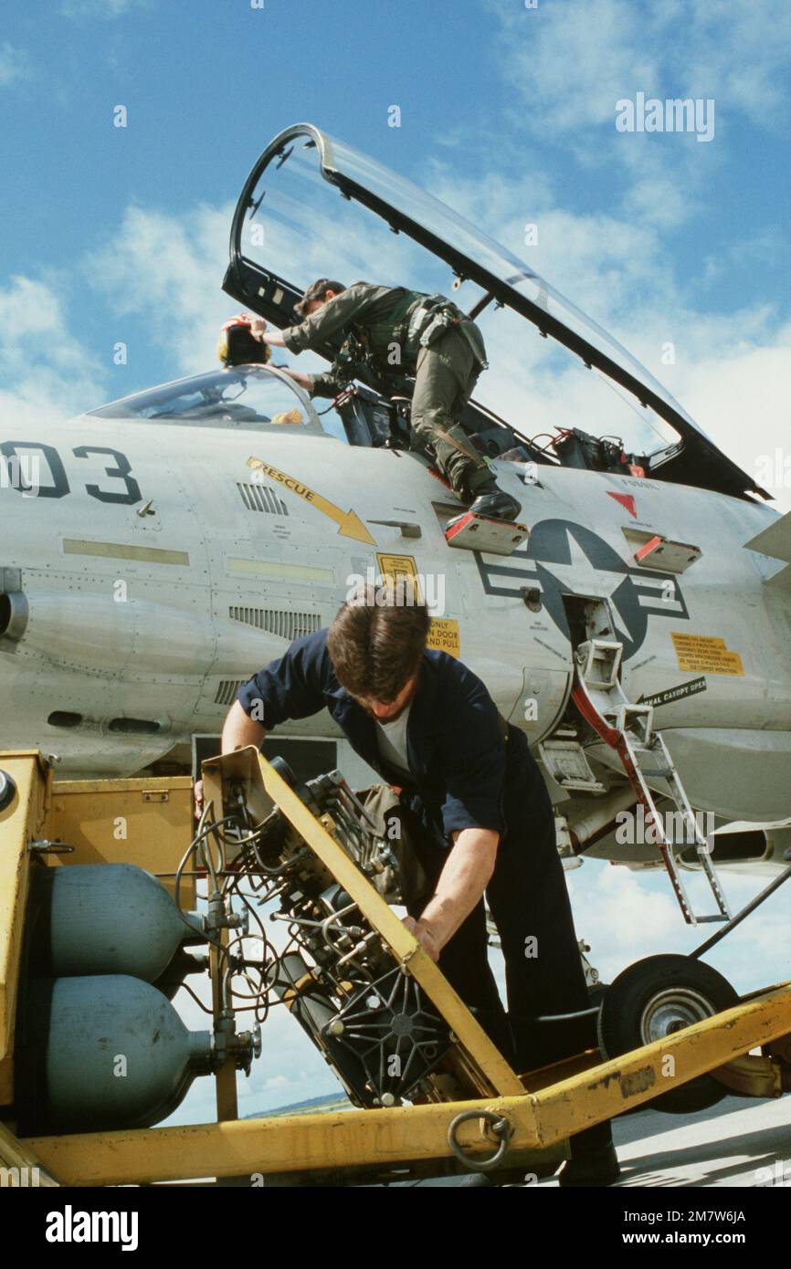 Ein Bodenpersonal lädt den Himmellift eines F-14 Tomcat-Flugzeugs während der Übung Gallant Eagle '82 mit Stickstoffgas auf. Betreff Betrieb/Serie: GALLANT EAGLE '82 Basis: Marine Air Station, Miramar Bundesstaat: Kalifornien (CA) Land: Vereinigte Staaten von Amerika (USA) Stockfoto