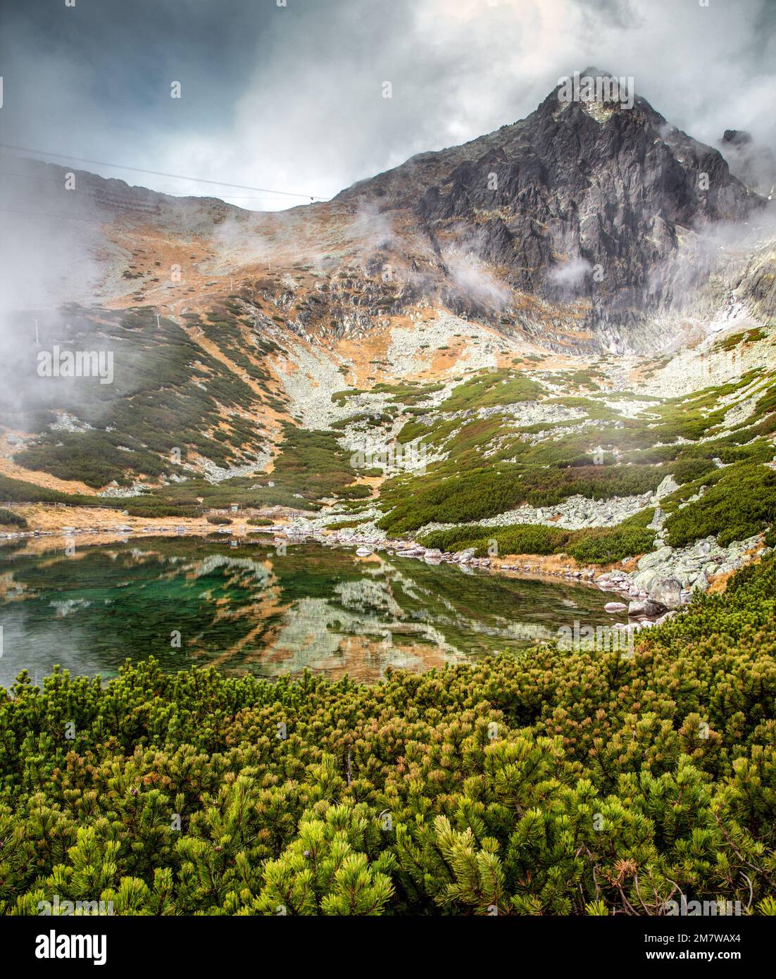 Bergkiefer, See und Gipfel in der Hohen Tatra in der Slowakei. Tarn Skalnate pleso und Peak Lomnicky Stit Stockfoto