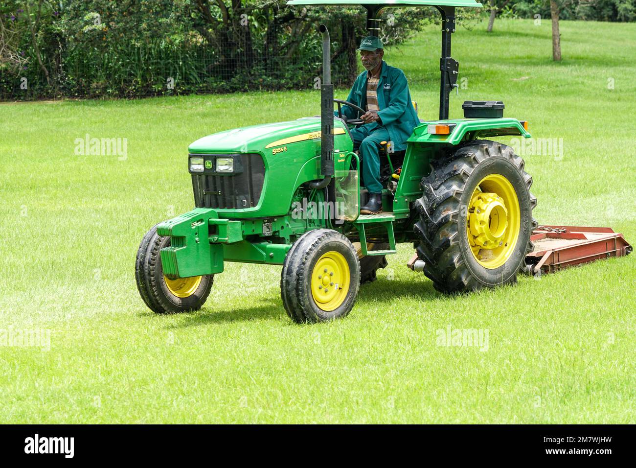 Afrikanischer Arbeiter oder Mitarbeiter, der in Südafrika auf einem gelben und grünen John Deere-Traktor einen weitläufigen Rasen mäht Stockfoto
