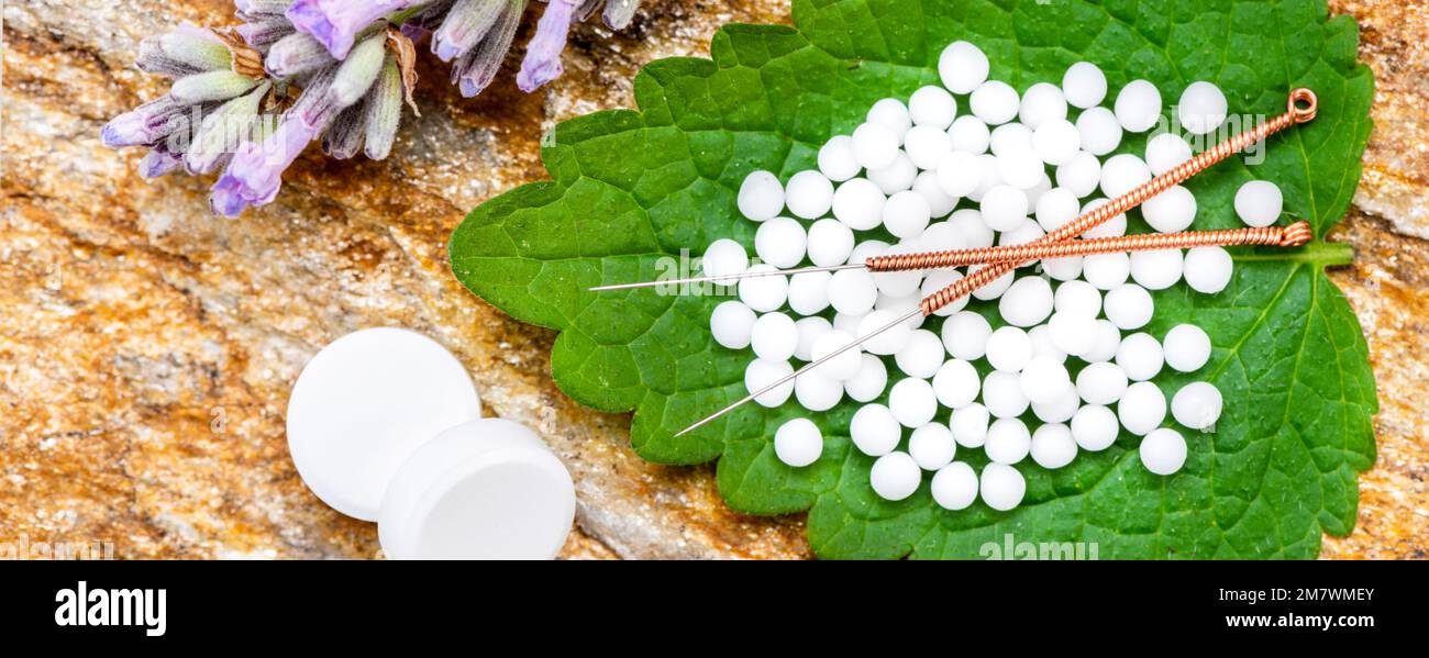 Alternative Medizin mit Kräuterpillen und Akupunktur Stockfoto