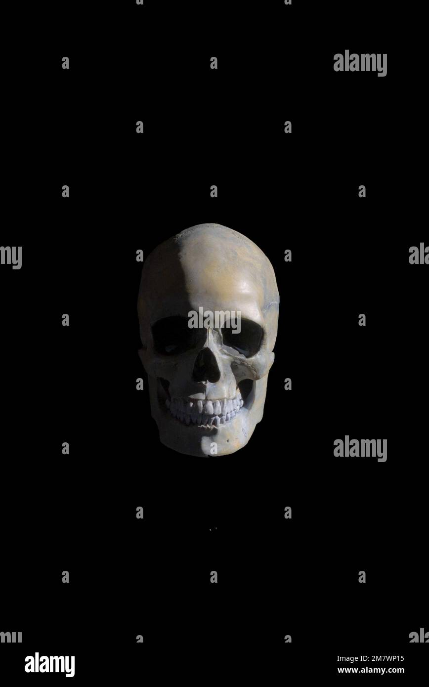 Menschlicher Schädel vor schwarzem Hintergrund, mit starkem Licht von der rechten Seite. Viel dunkler Bereich um das Bild herum für Text usw. Stockfoto
