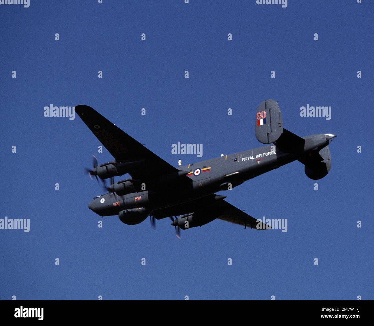 Air-to-Air-Rückansicht eines Shackleton-Flugzeugs der British Royal Air Force während des Trainings Coronet Cactus. Betreff Operation/Serie: CORONET CACTUS Basis: RAF Leeming Land: England / Großbritannien (eng) Stockfoto