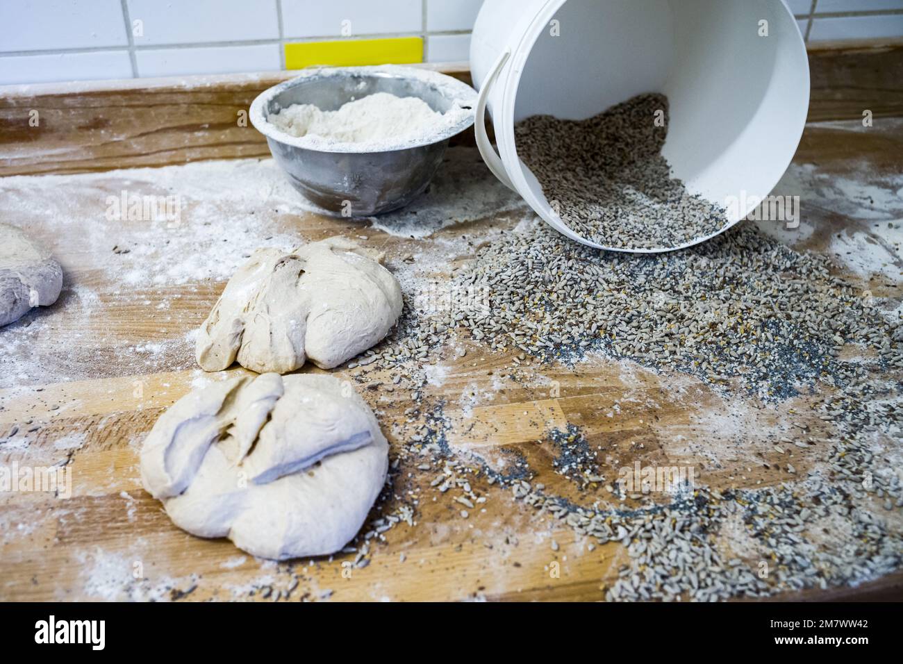 Lasson (Nordostfrankreich): Brotherstellung in der Werkstatt einer Bäckerei, eines Landwirts und eines Bäckers des Betriebs „Ferme de la Fringale“. Die drei Bauern-Bäcker Stockfoto