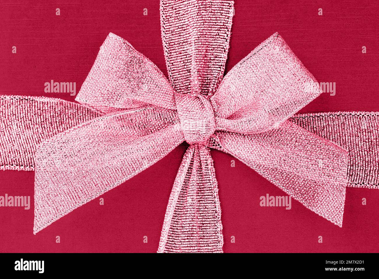 Rot Viva Magenta Geschenkbox mit Band und Schleife. Draufsicht, Hintergrund. Farbe des Jahres 2023 mit Farbton. Stockfoto