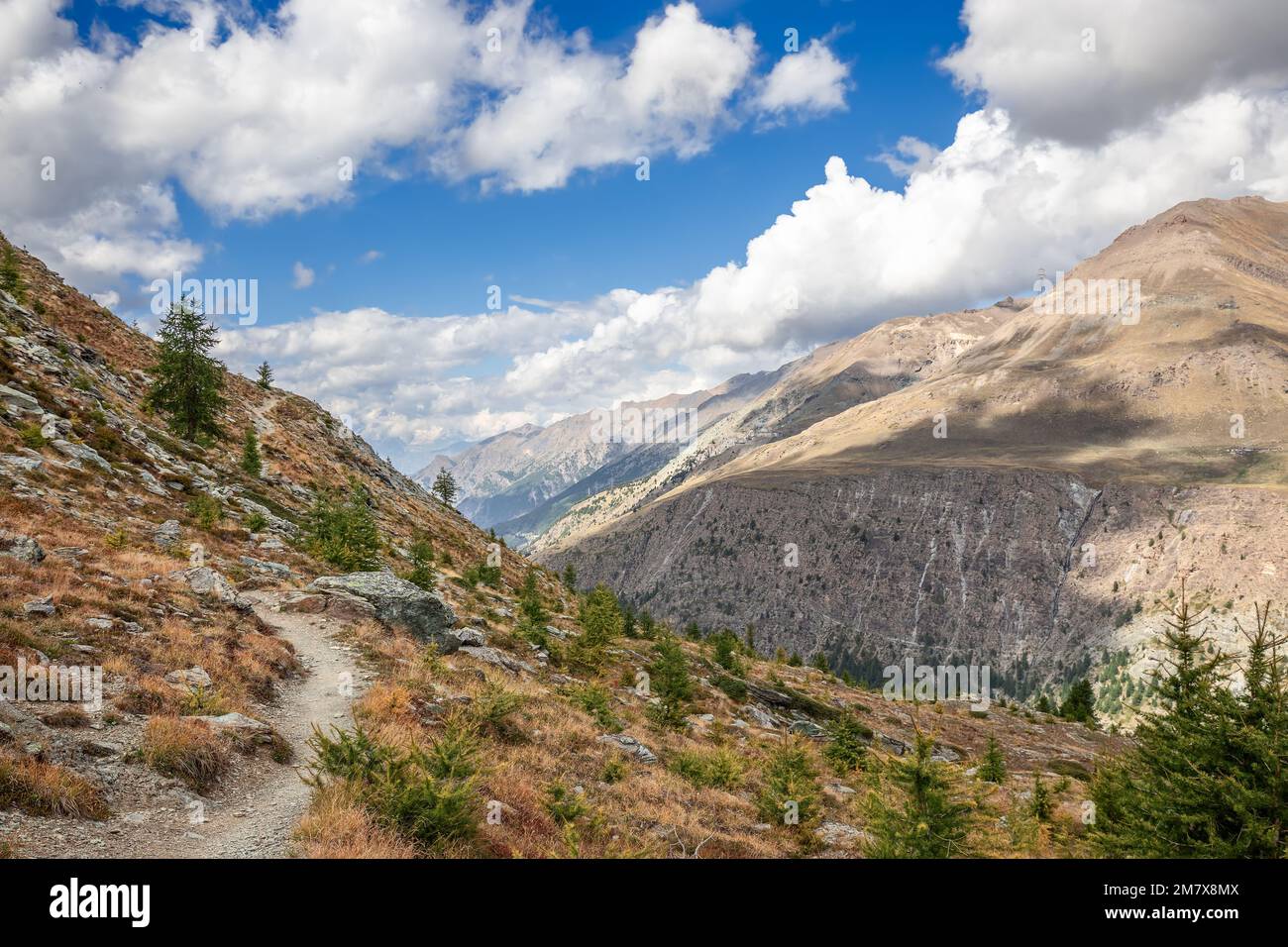 Verwelktes Gras und seltene Zwergbäume, gepflasterter Prozess auf Hängen und Schluchten in den Alpen mit Schatten von weißen Wolken, die über den blauen Himmel schwebten, Aosta, Italien Stockfoto