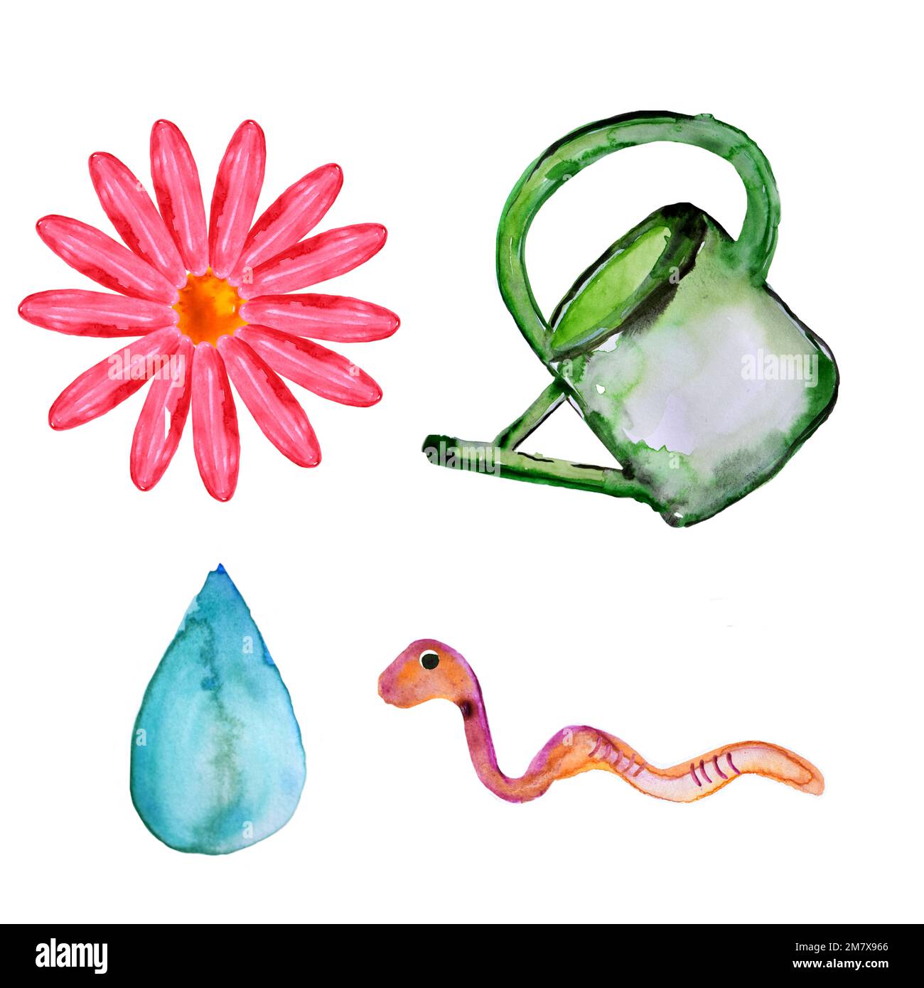 GärtnerIllustration, AquarellBlüten, Gießkanne, Regenwürmer und Regen
