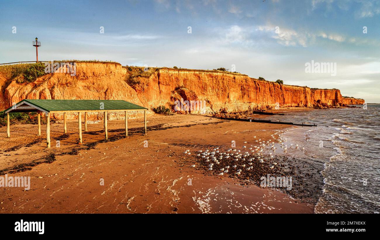 Ardrossan Shoreline und Cliffs Stockfoto