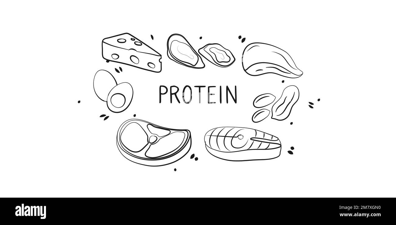 Eiweißhaltige Lebensmittel. Gruppen von gesunden Produkten, die Vitamine und Mineralien enthalten. Obst, Gemüse, Fleisch, Fisch und Milchprodukte. Stock Vektor