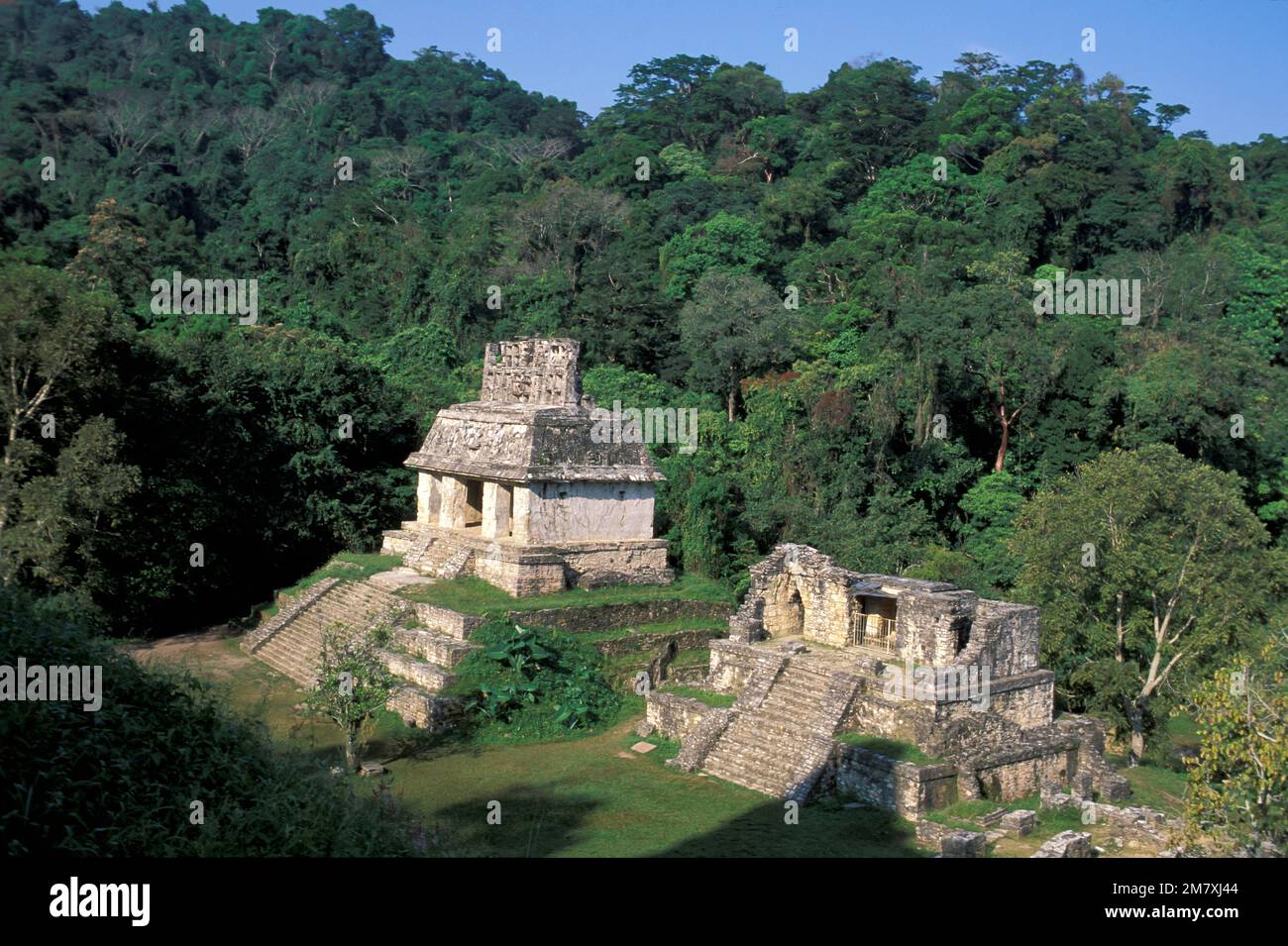 Mexiko, Campeche, Maya-Ruinen, Palenque, UNESCO-Weltkulturerbe, Stockfoto