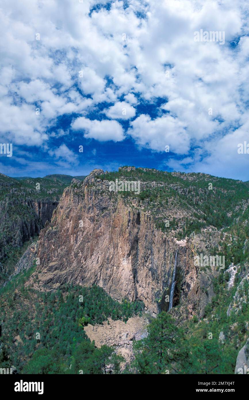 Mexiko, Chihuahua, Sierra Madre Occidental, Copper Canyon, Creel, Basaseachic, Wasserfall, Stockfoto