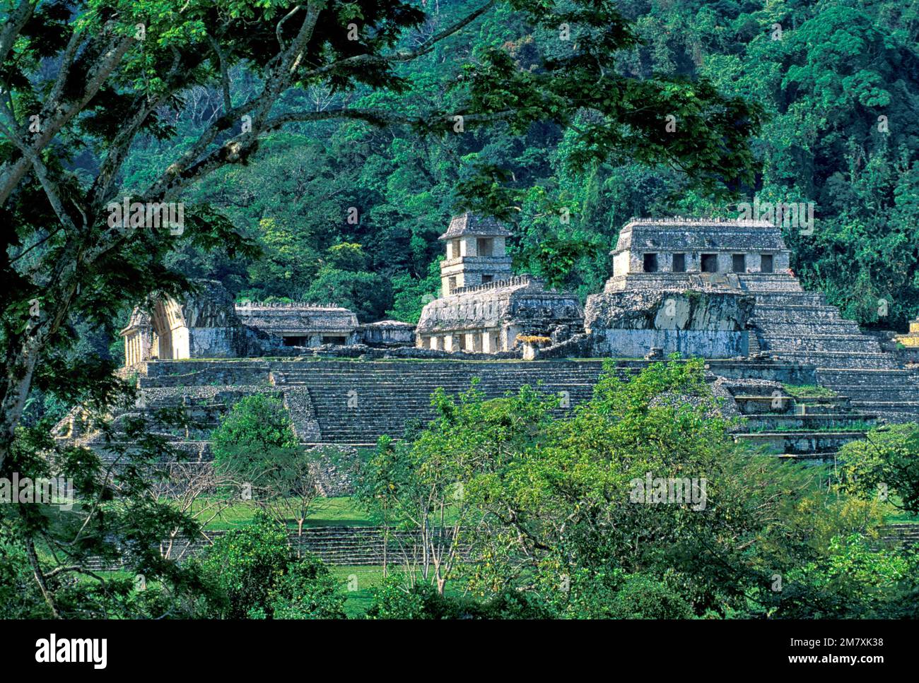 Mexiko, Campeche, Maya-Ruinen, Palenque, UNESCO-Weltkulturerbe, Stockfoto