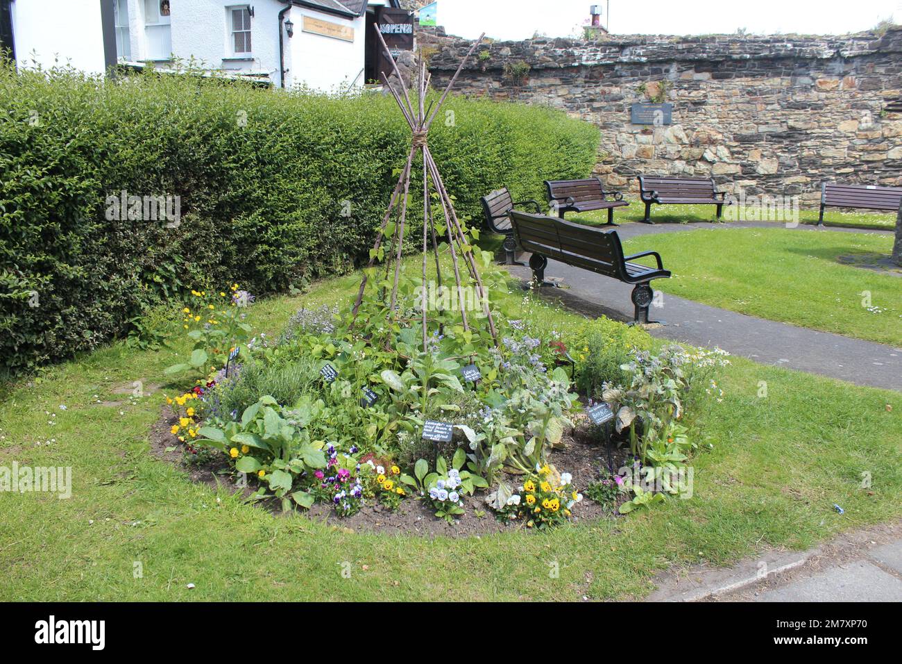 Conwy ist eine ummauerte Marktstadt und Gemeinde an der Küste von Nordwales Stockfoto