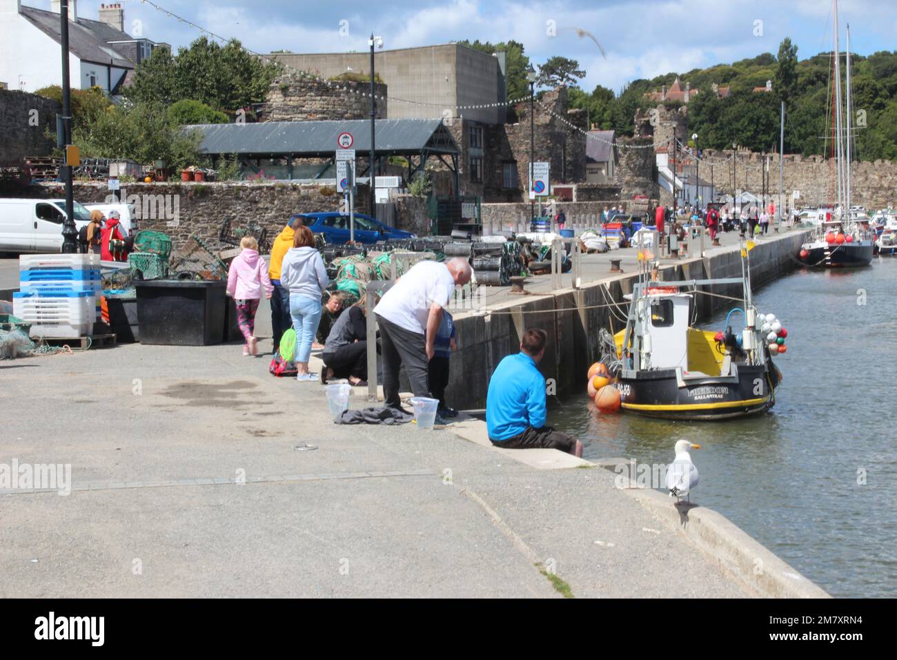 Conwy ist eine ummauerte Marktstadt und Gemeinde an der Küste von Nordwales Stockfoto