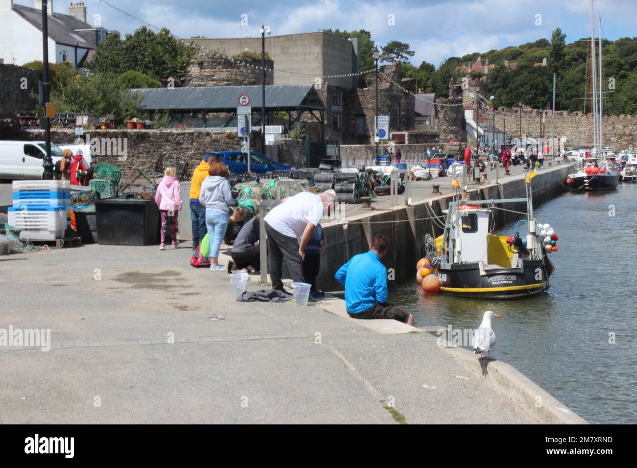 Conwy ist eine ummauerte Marktstadt und Gemeinde an der Küste von Nordwales Stockfoto