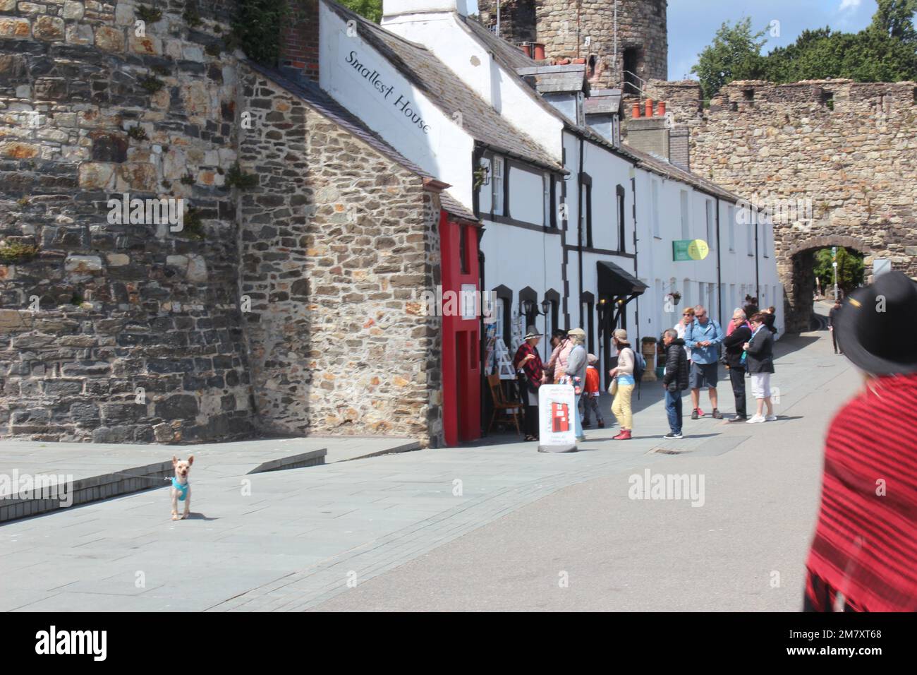 Conwy ist eine ummauerte Marktstadt und Gemeinde an der Küste von Nordwales Stockfoto