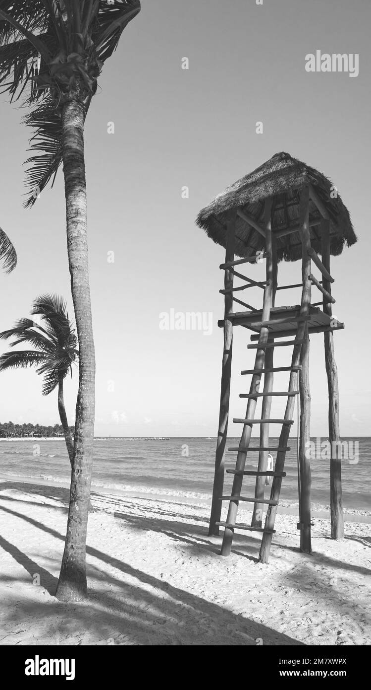 Schwarz-Weiß-Bild eines tropischen Strandes. Stockfoto