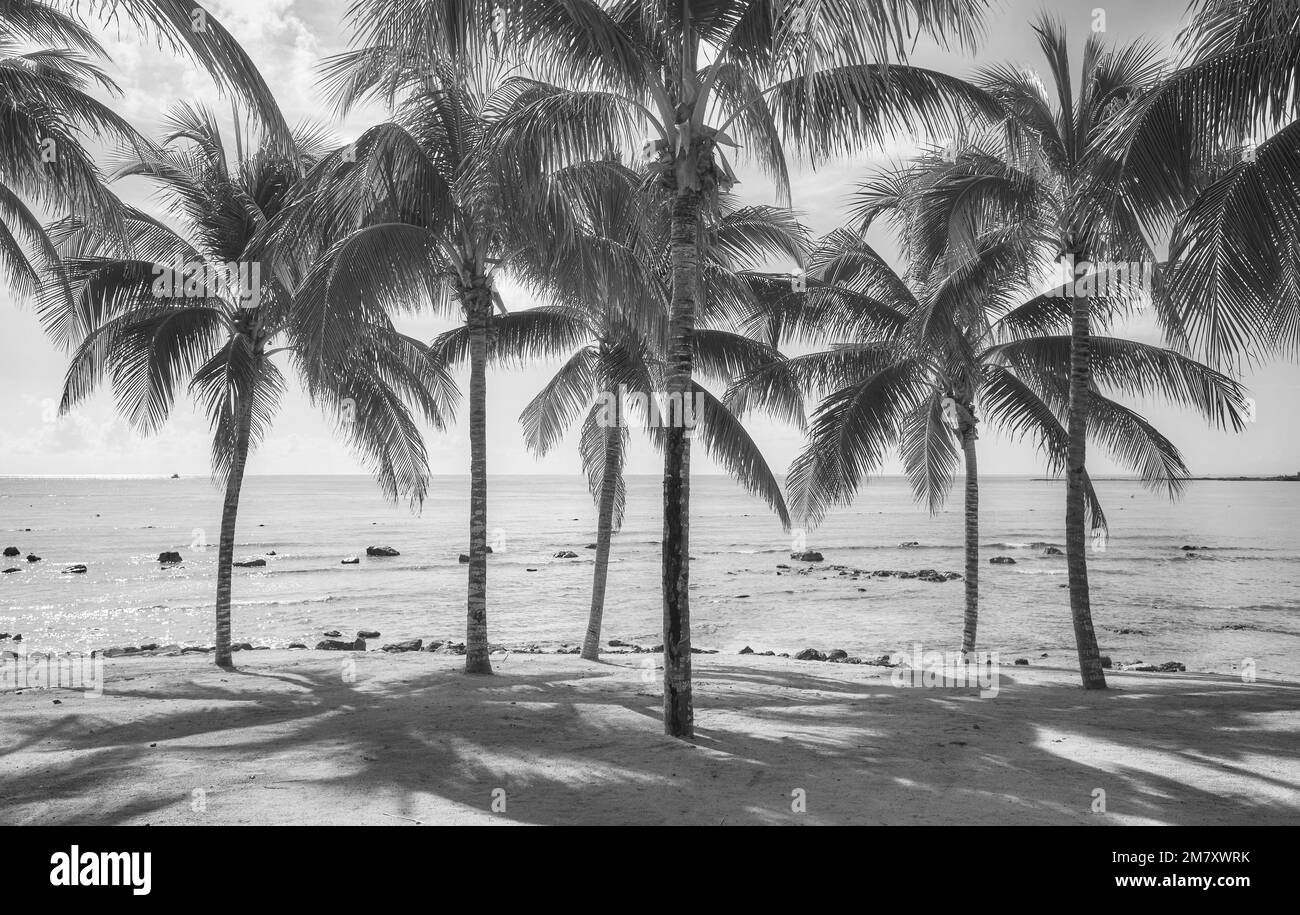 Schwarzweißbild eines karibischen Strands. Stockfoto