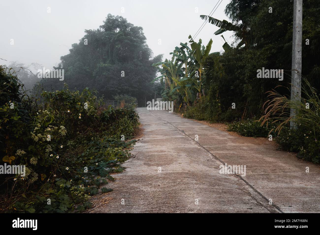 Kleine und leere Landstraße in Nordthailand im Morgennebel Stockfoto