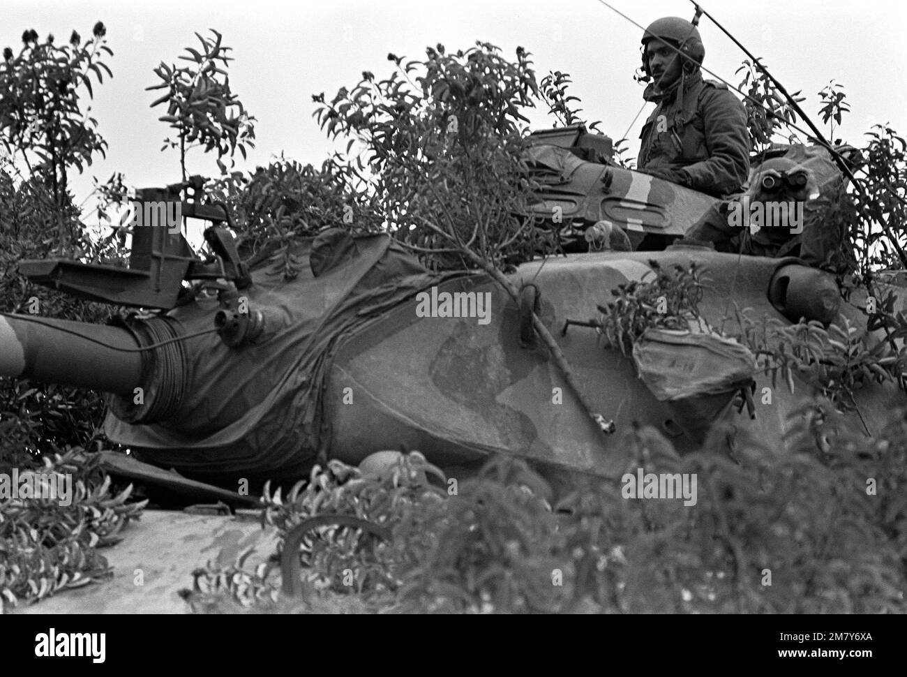 Sergeant V. Foresy sitzt im Geschützturm seines Panzers M60A1, 1. Zug, Kompanie A, 1. Panzerbataillon, ist der Kommandant dieses gut versteckten Panzers. Neben ihm ist sein Munition-Lader, Lance Corporal A. J. Allen (mit Fernglas). Basis: Marine Corps Basislager Pendleton Bundesstaat: Kalifornien (CA) Land: Vereinigte Staaten von Amerika (USA) Stockfoto