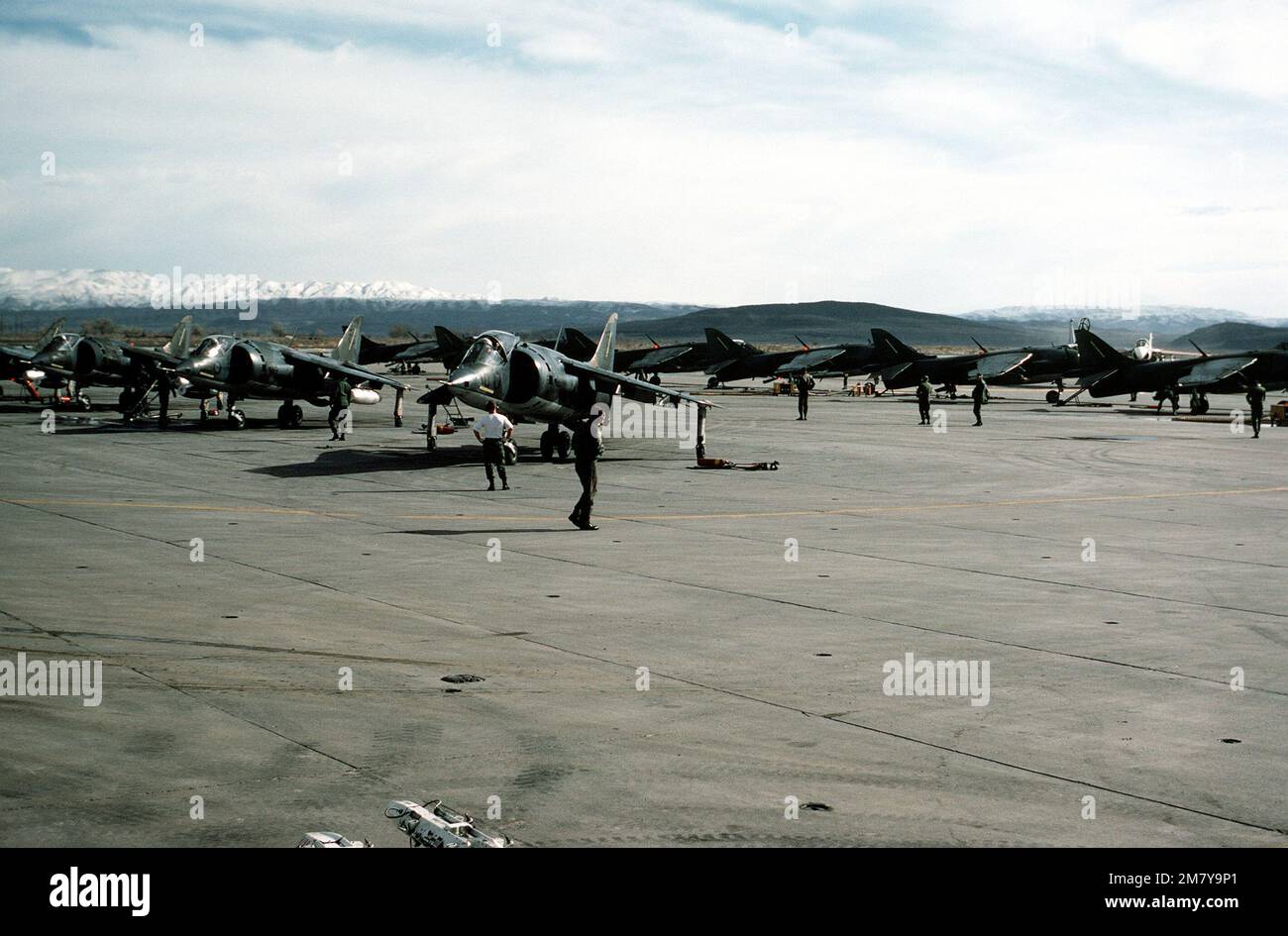 Ein Blick auf das Flugzeug AV-8B Harrier vom Marine Light Attack Squadron 231 (VMA-231) auf der Fluglinie vor dem Flugbetrieb. Basis: Marine Air Station, Fallon Staat: Nevada (NV) Land: Vereinigte Staaten von Amerika (USA) Stockfoto