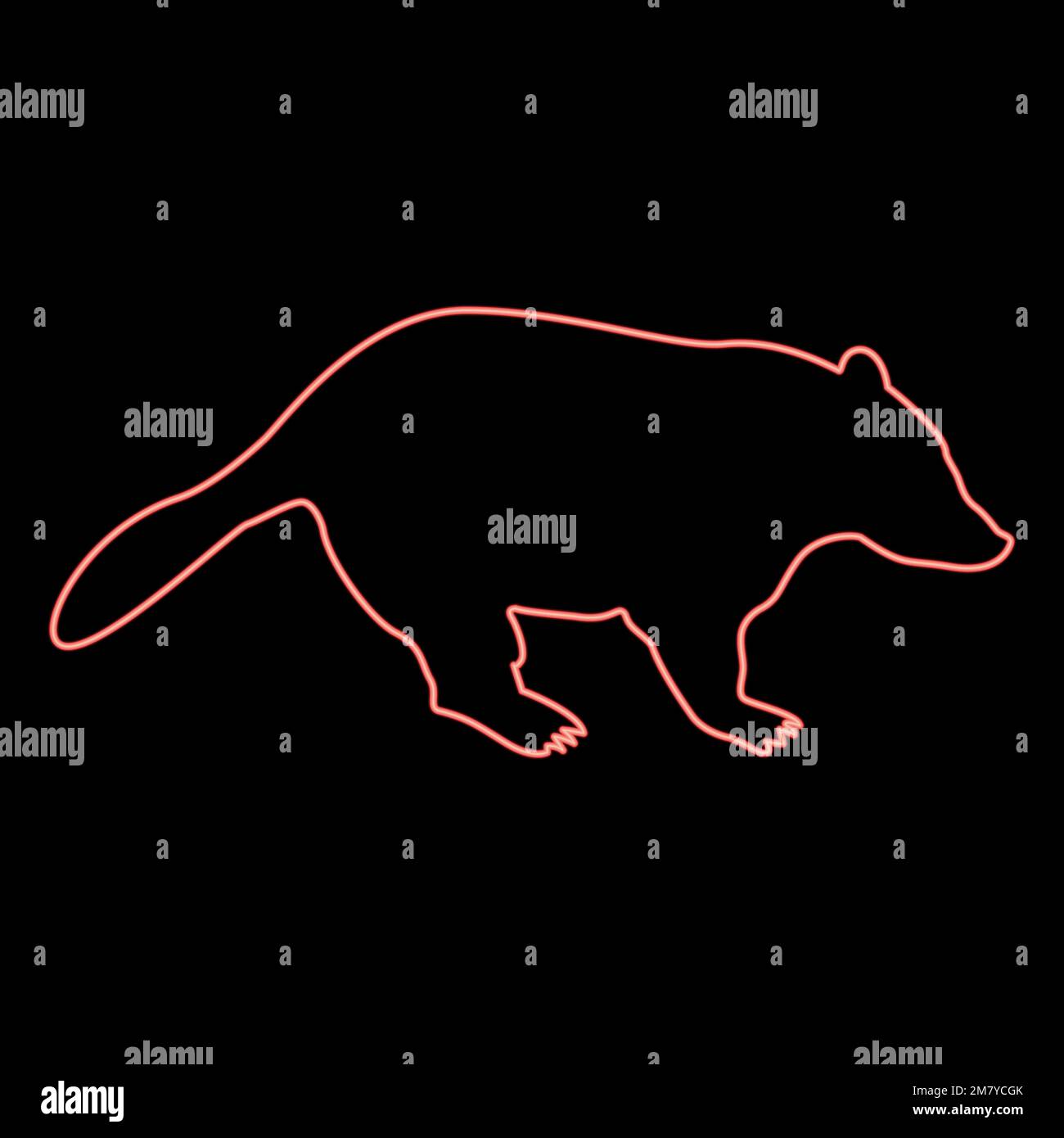 Neondachse Tier Wild Meles Taxus räuberische Säugetiere Familie Kunihih Carnivore rot Vektorbild flaches Licht Stock Vektor