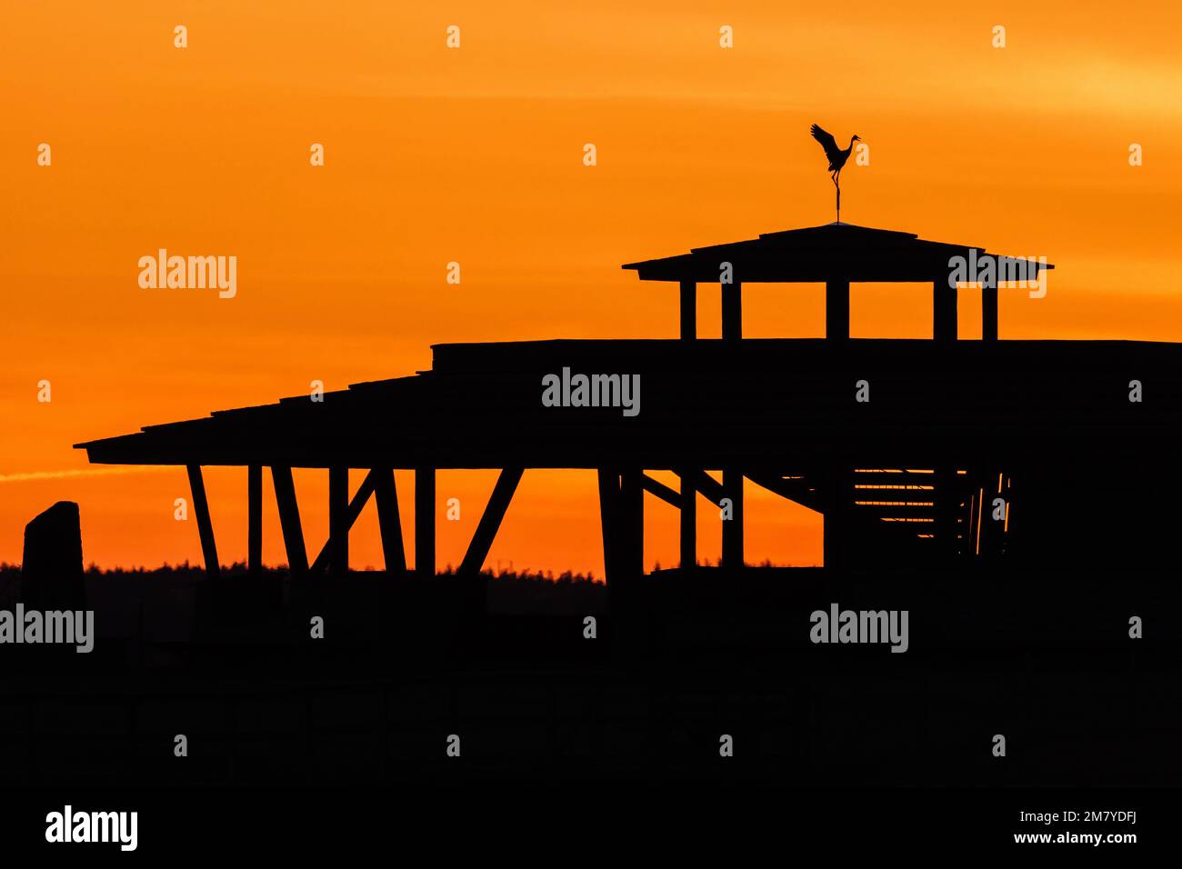 Vogelturm in Silhouette vor dem Abendhimmel Stockfoto