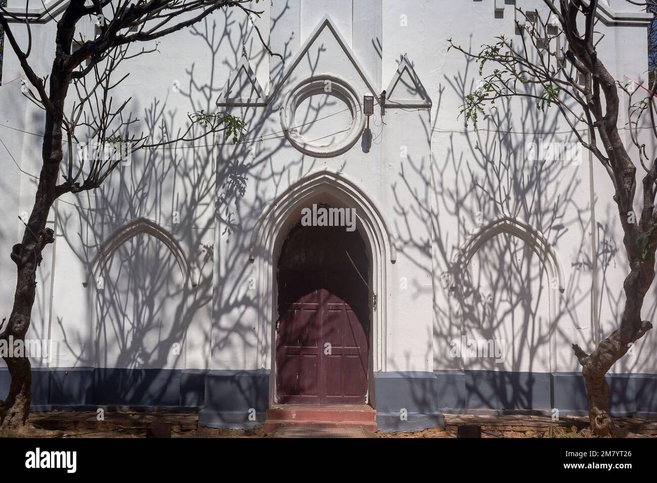 Baum Schatten Stockfoto