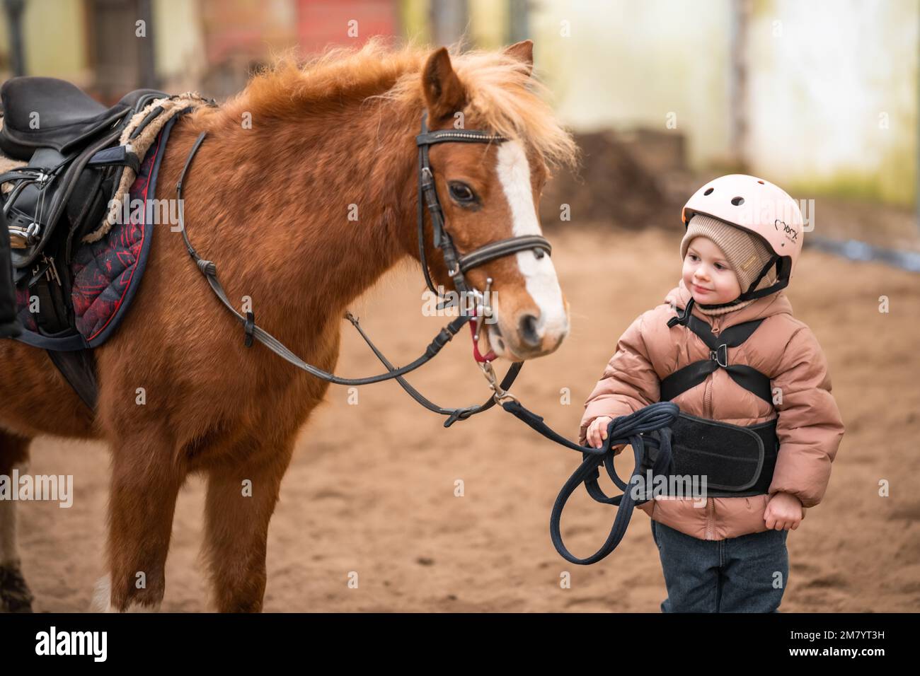 Porträt eines kleinen Mädchens in Schutzjacke und Helm mit ihrem braunen Pony vor dem Reitstunden Stockfoto