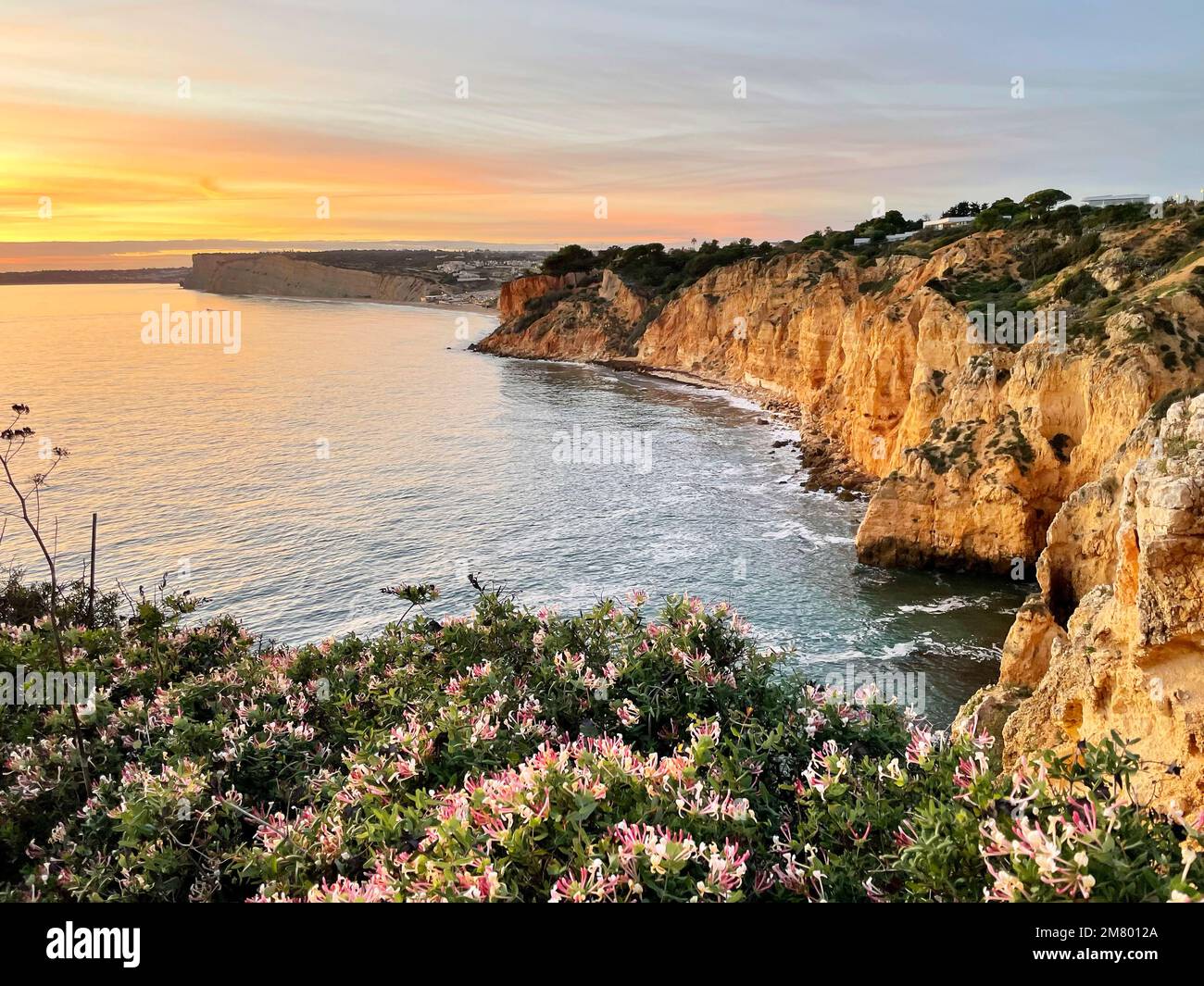 Atemberaubender Blick auf Blumen und Klippen bei Sonnenuntergang in Lagos, Portugal, Europa Stockfoto