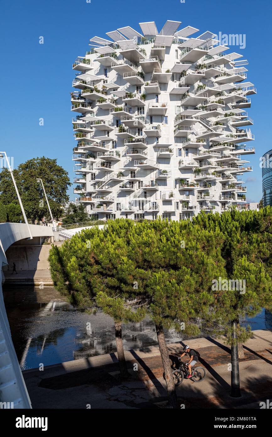 MODERNES GEBÄUDE DAS ARBRE BLANC, DIE ARCHITEKTEN SOO FOUJIMOTO, NICOLAS LAISNE UND MANAL RACHDI, DAS 2019 ZUM SCHÖNSTEN WOHNGEBÄUDE DER WELT GEWÄHLT WURDE, PLACE CHRISTOPHE COLOMB, MONTPELLIER, HERAULT, OCCITANIE, FRANKREICH Stockfoto