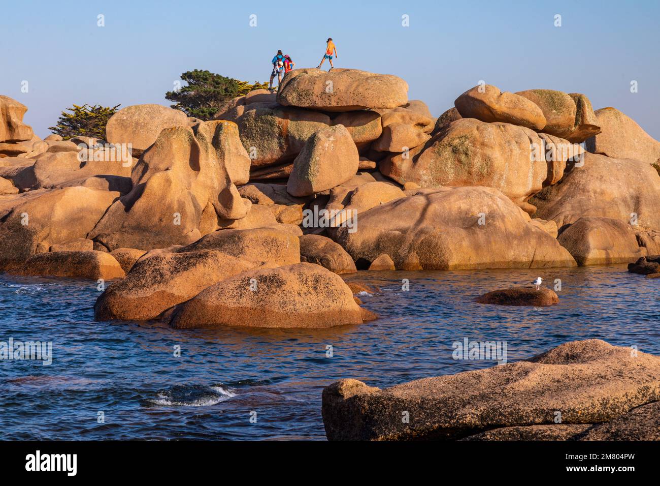 TOURISTENFAMILIE AUF DEN ROSAFARBENEN GRANITFELSEN, RENOTE ISLAND POINT, TREGASTEL, ROSA GRANITKÜSTE, COTES-D’ARMOR, BRITTANY, FRANKREICH Stockfoto