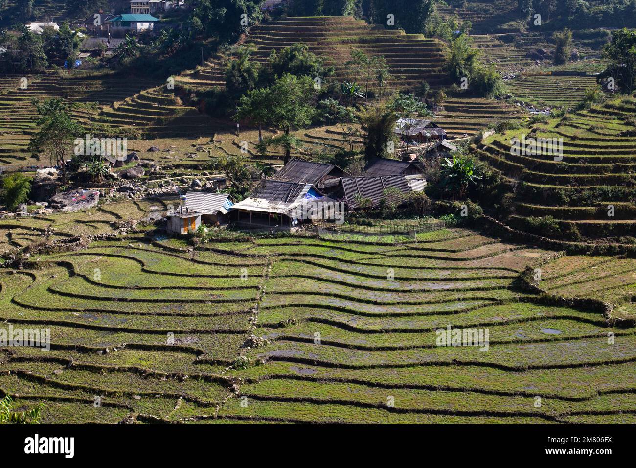 Reisterrassen und hohe Berge in Sa Pa, Vietnam Stockfoto