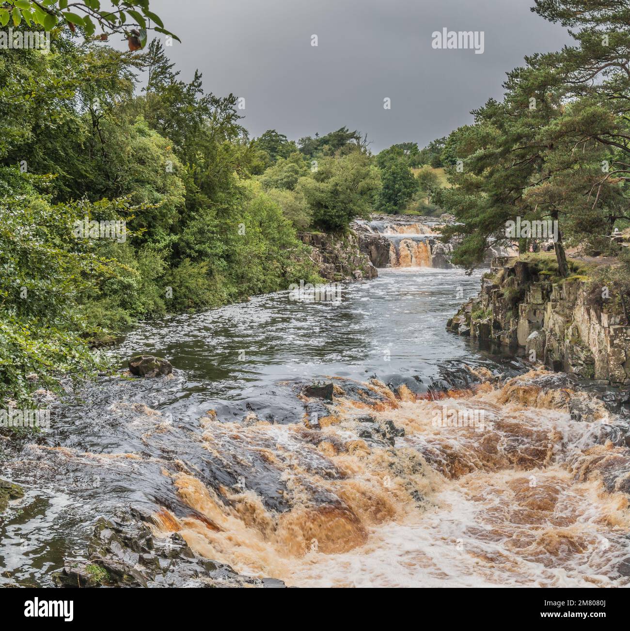 Ein geschwollener River Tees bei Low Force während einer sehr kurzen hellen Pause an einem ansonsten feuchten und trüben Tag. Vom Pennine Way an der Wynch Bridge. Stockfoto