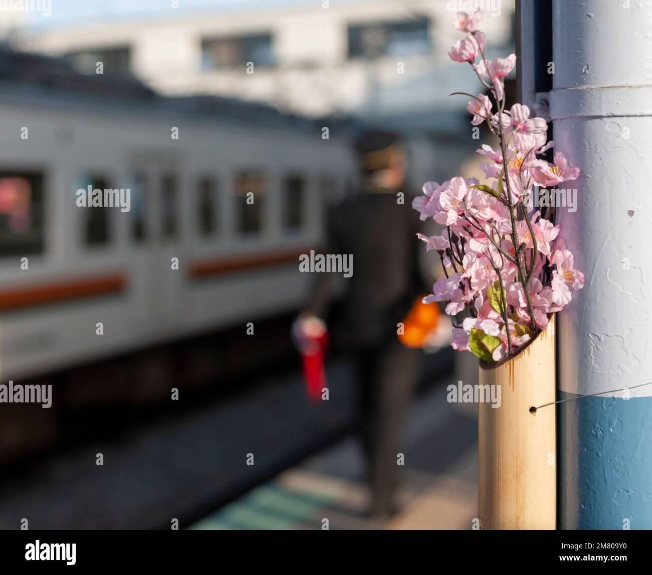 Saisonale (aber künstliche) Kirschblüten schmücken einen Bahnhof an der Chuo Line, Nagano, Japan. Stockfoto