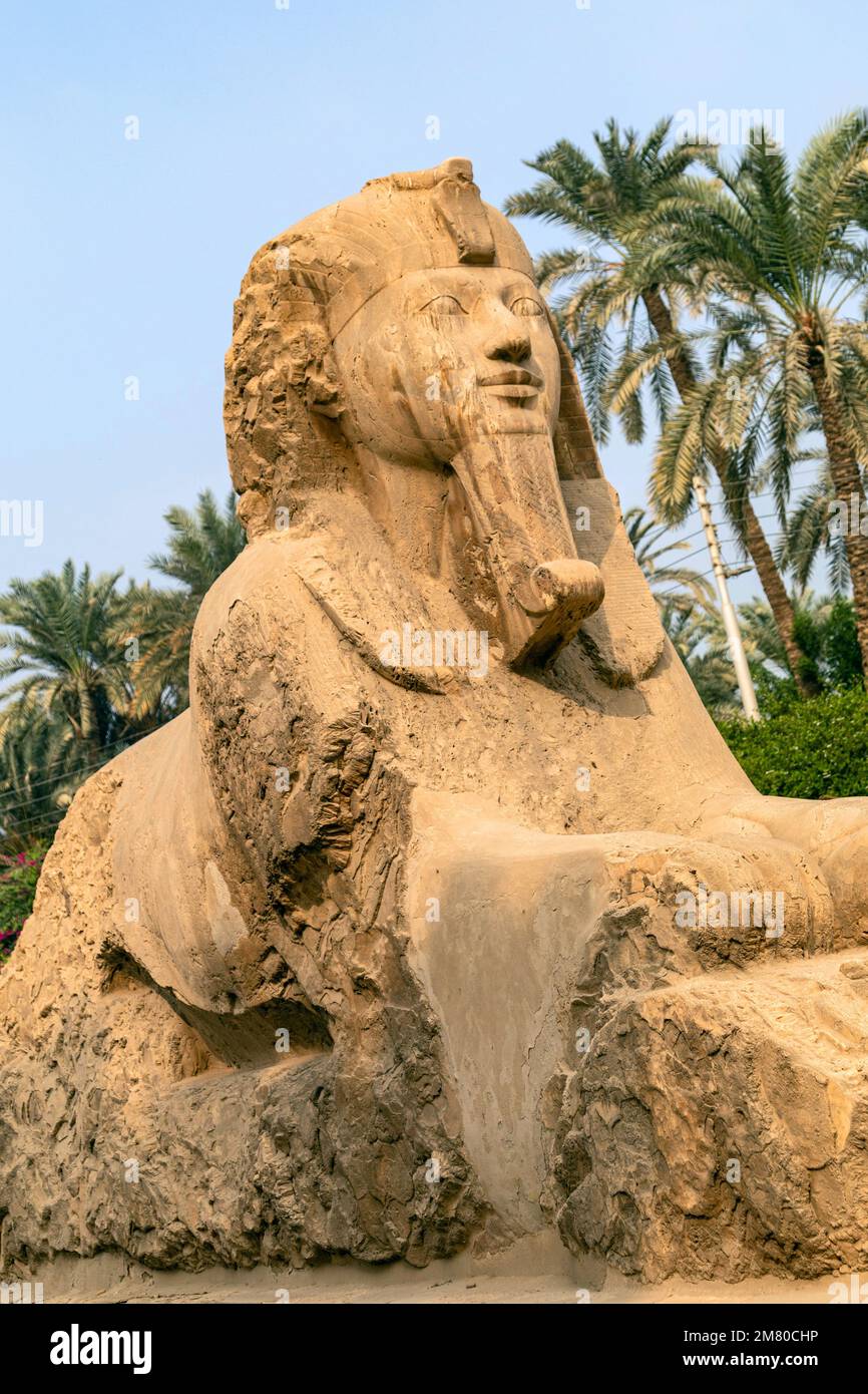 ALABASTER SPHINX VON MEMPHIS, DIE GRÖSSTE BEKANNTE STATUE IN ALABASTER ...