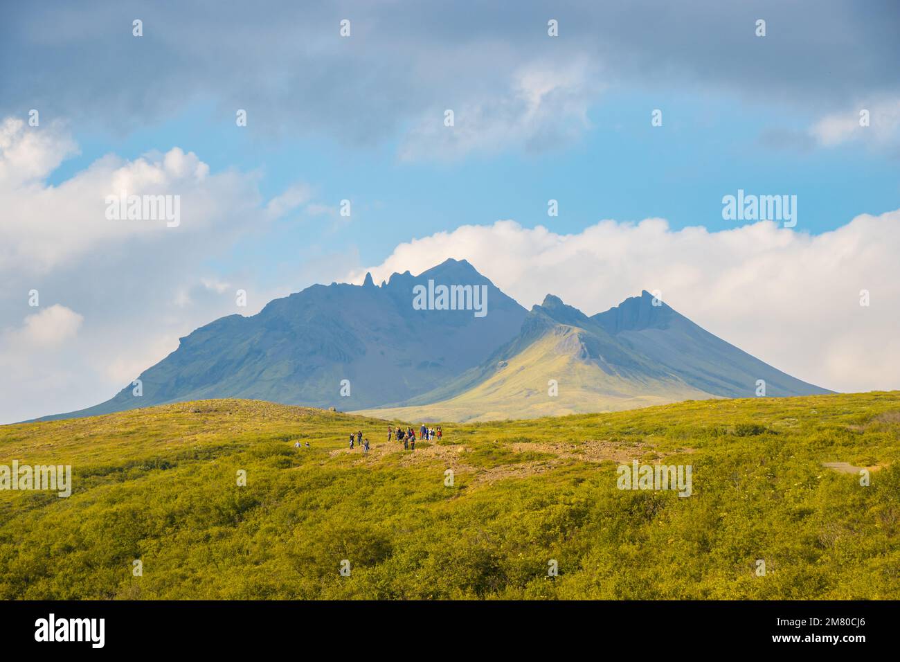 Svartifoss-Wasserfall im Skaftafell Vatnajokull-Nationalpark, Island, mit einer grünen, dramatischen Landschaft Stockfoto
