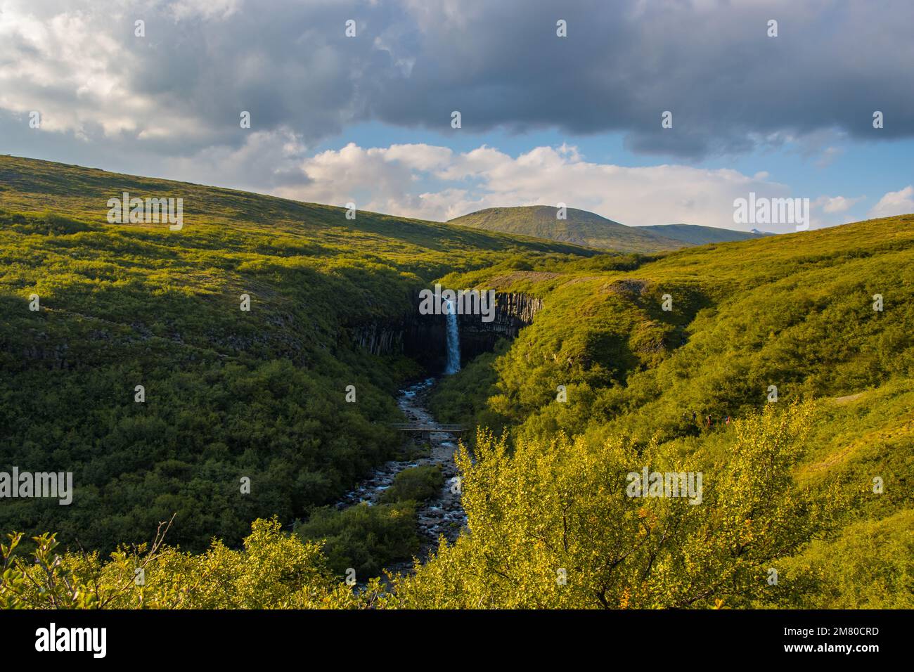 Svartifoss-Wasserfall im Skaftafell Vatnajokull-Nationalpark, Island, mit einer grünen, dramatischen Landschaft Stockfoto