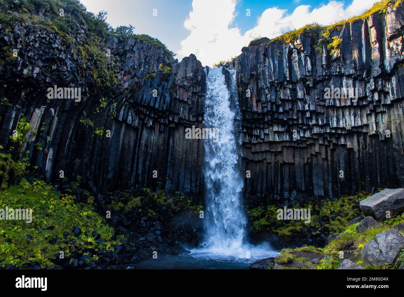 Svartifoss-Wasserfall im Skaftafell Vatnajokull-Nationalpark, Island, mit einer grünen, dramatischen Landschaft Stockfoto