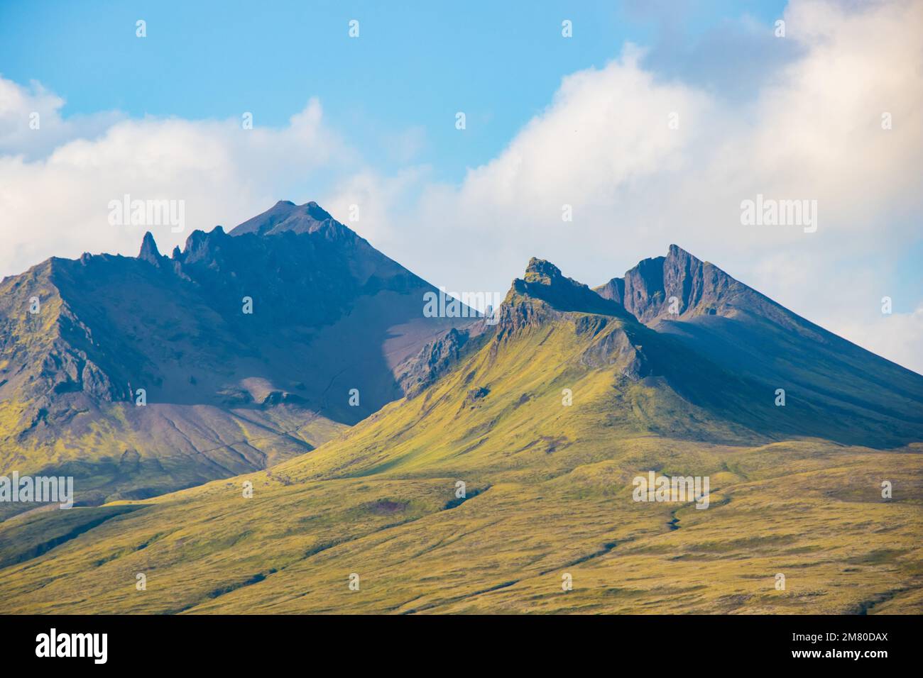 Svartifoss-Wasserfall im Skaftafell Vatnajokull-Nationalpark, Island, mit einer grünen, dramatischen Landschaft Stockfoto