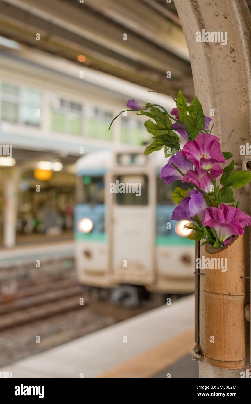 Künstliche Morgenblumen schmücken den Bahnhof Shimosuwa an der Chuo Line im Sommer, Nagano, Japan. Stockfoto