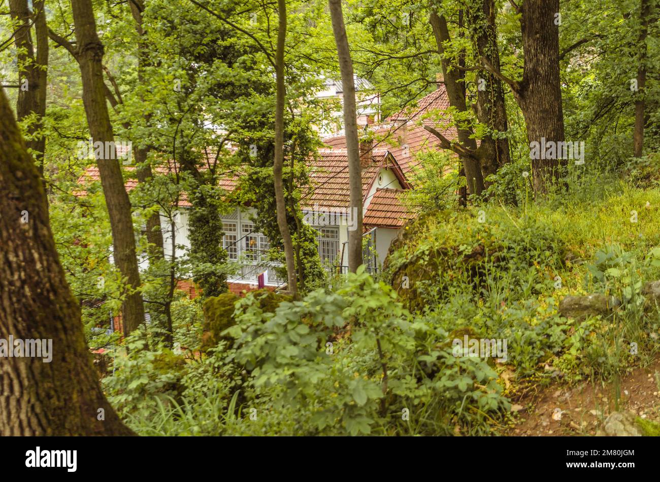 Villen in Vrnjačka Banja, Serbien Stockfoto